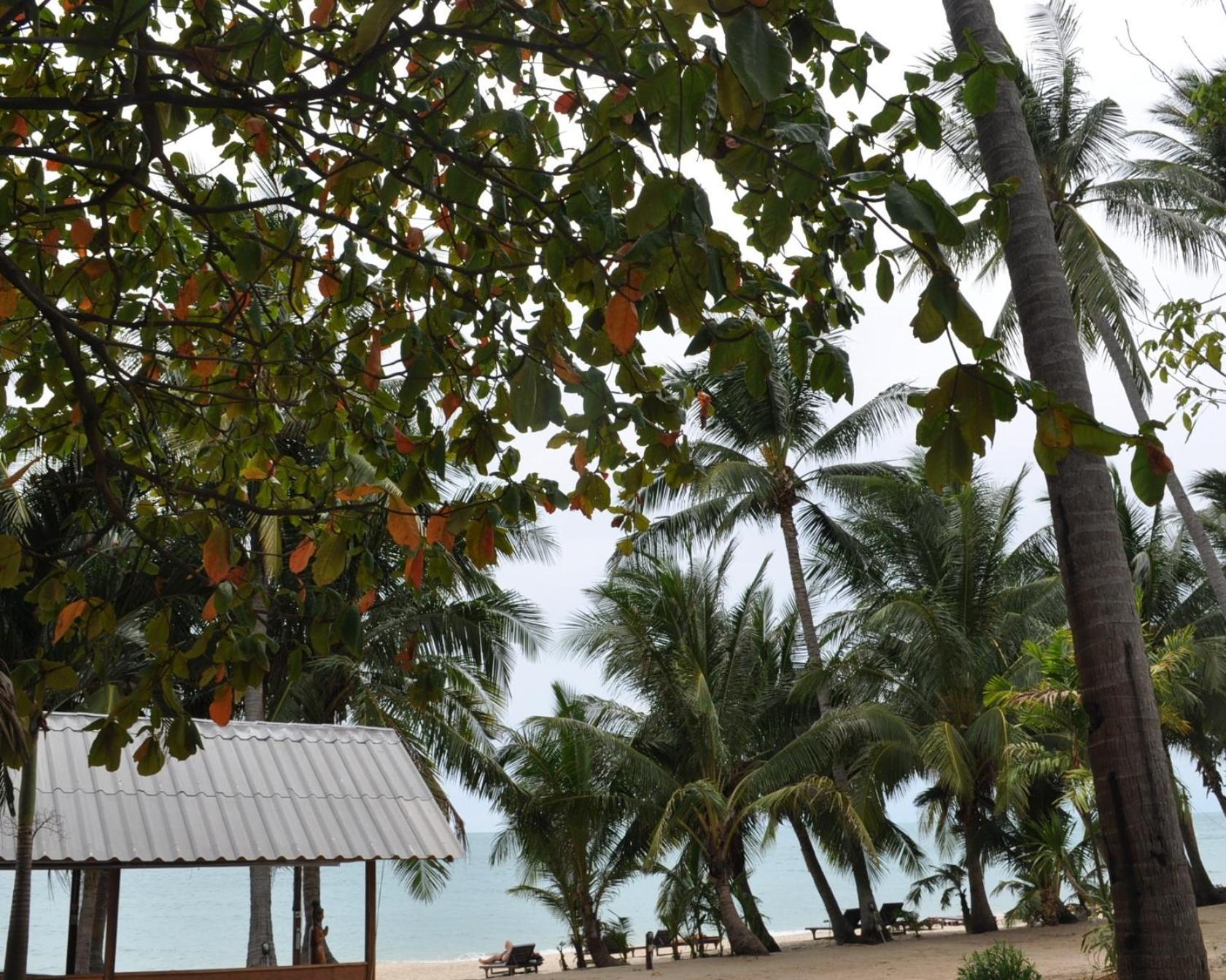 Astrococo Beach Resort By Coconut Beach Lamai Beach  Exterior photo